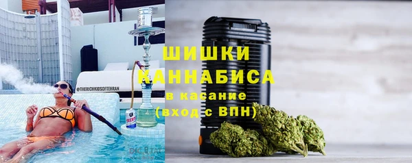 индика Бронницы